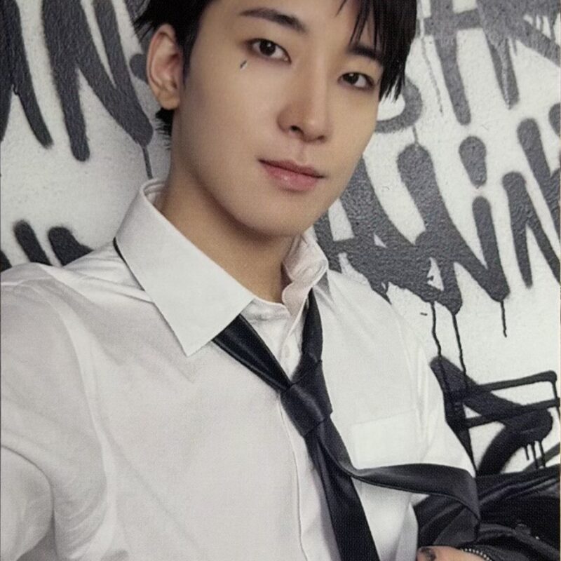 Seventeen Wonwoo „Happy Burstday” photocard