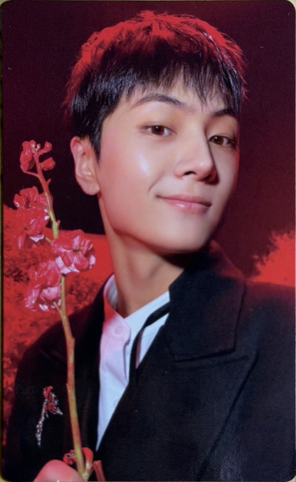Enhypen Jay „Dark Blood” photocard