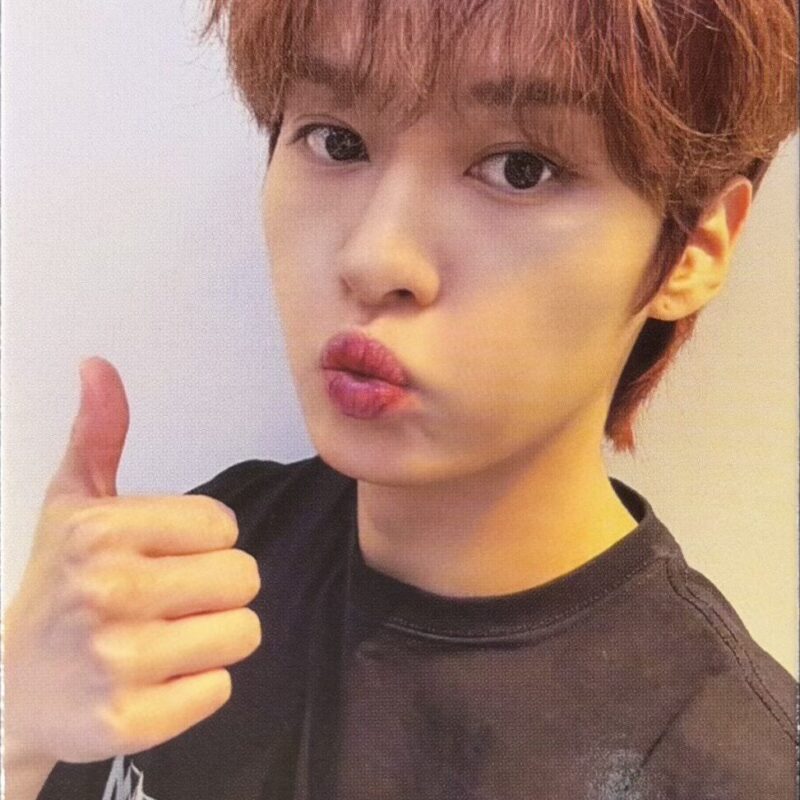 Stray Kids Lee Know „5-Star” MMT pob
