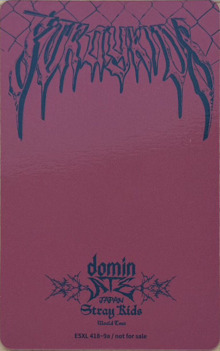 Stray Kids „DominAte JAPAN” photocard Seungmin - obrazek 2