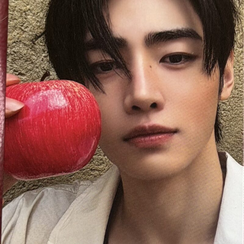 ENHYPEN „The Sin : Vanish Fugitives” Sunghoon