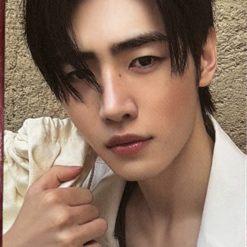 ENHYPEN „The Sin : Vanish Fugitives”) Sunghoon