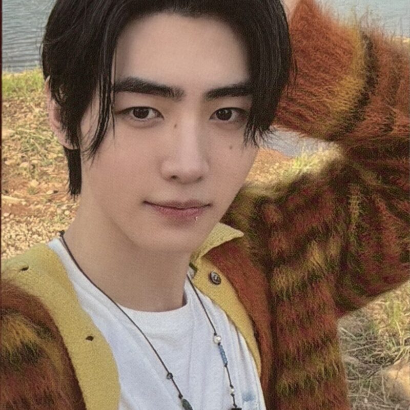 ENHYPEN „Orange Blood” Sunghoon